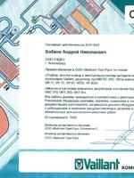 Сертификат 1